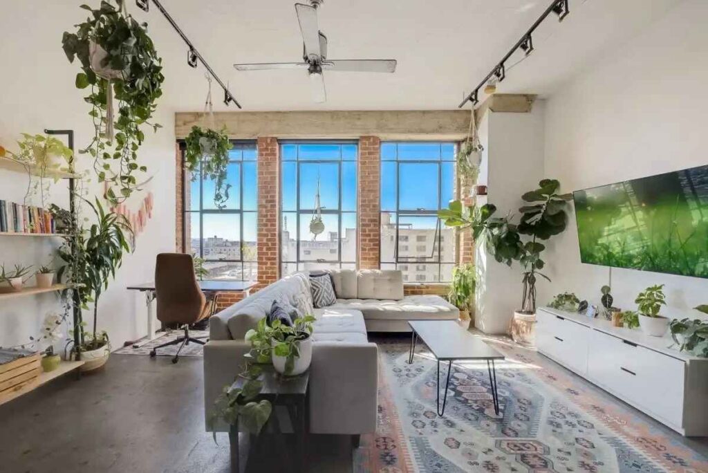 500sqft living room