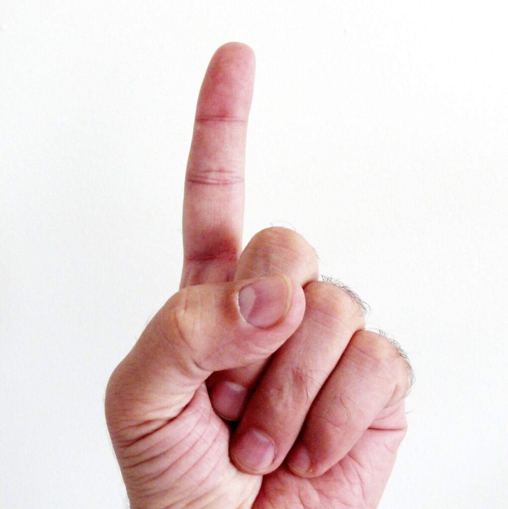 An Adult Index Finger