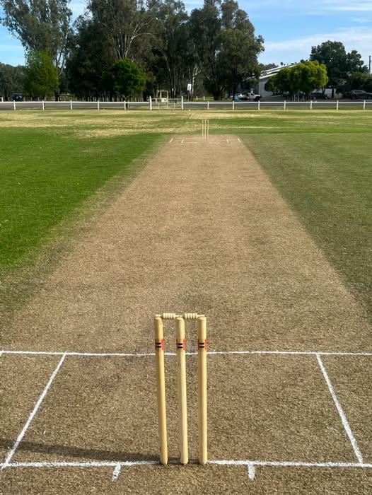 Half of the Cricket Pitch
