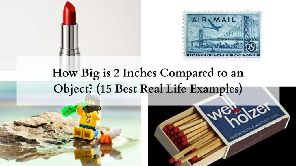 How Big is 2 Inches Compared to an Object (15 Best Real Life Examples)