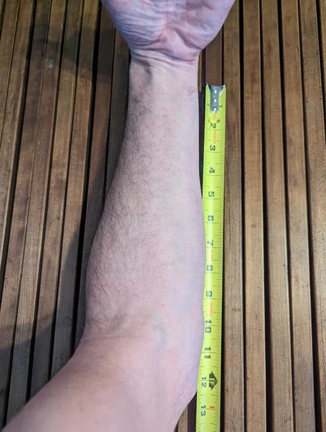 How big is 14 inches compared to a human?