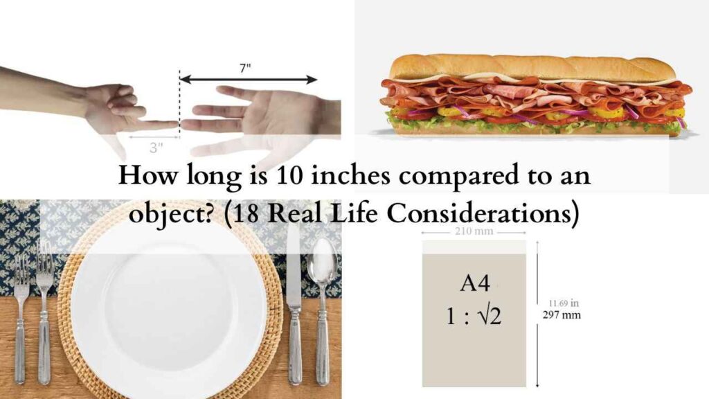 How long is 10 inches compared to an object (18 Real Life Considerations)