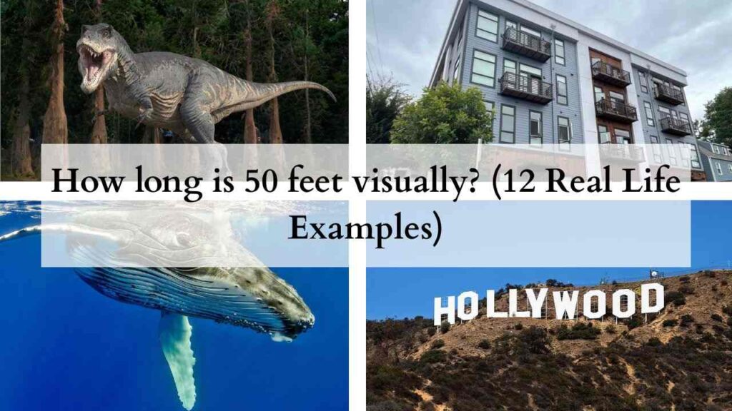 How long is 50 feet visually (12 Real Life Examples)