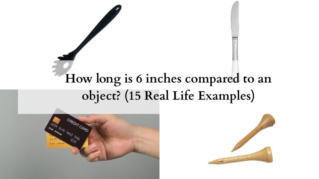 How long is 6 inches compared to an object (15 Real Life Examples)