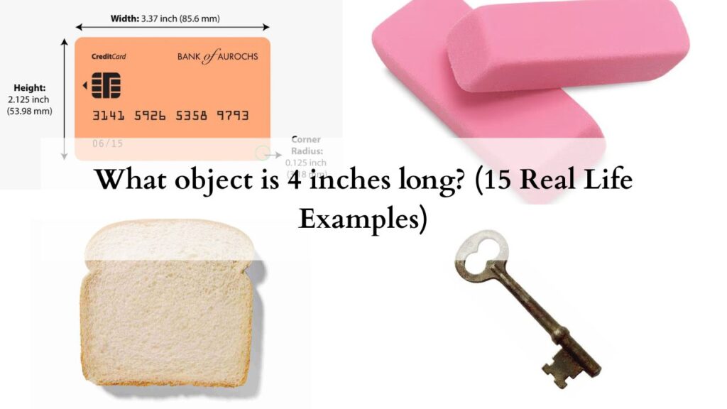 What object is 4 inches long (15 Real Life Examples)