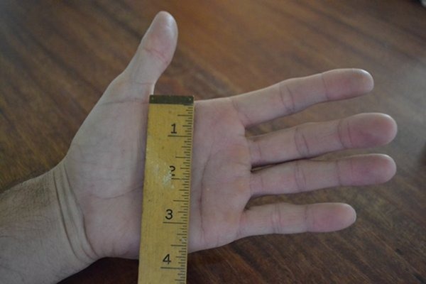 Width of the Hand