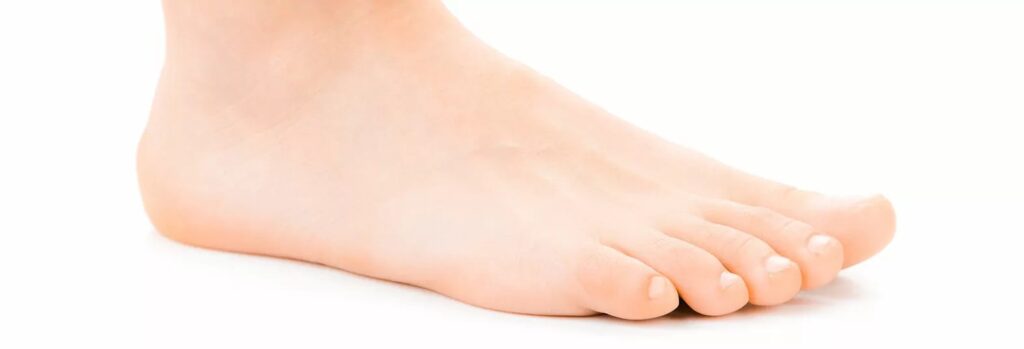 human foot