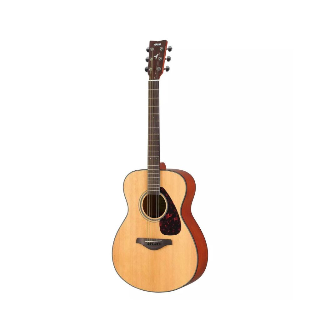 Standard Acoustic Guitar