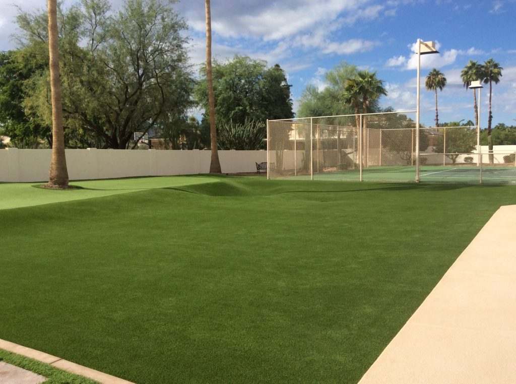 A 4000 sq ft Lawn